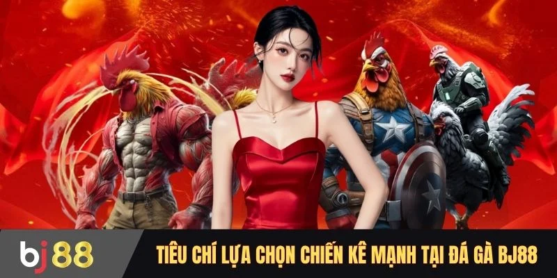 Tiêu chí lựa chọn chiến kê mạnh tại đá gà BJ88