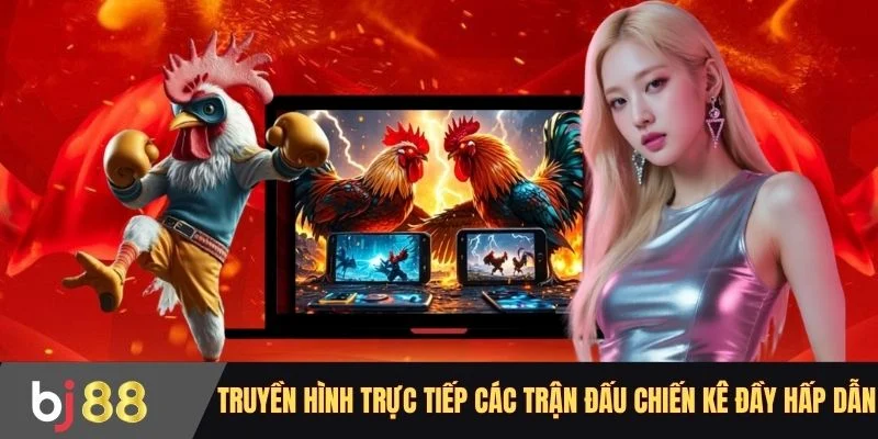 Truyền hình trực tiếp các trận đấu chiến kê đầy hấp dẫn